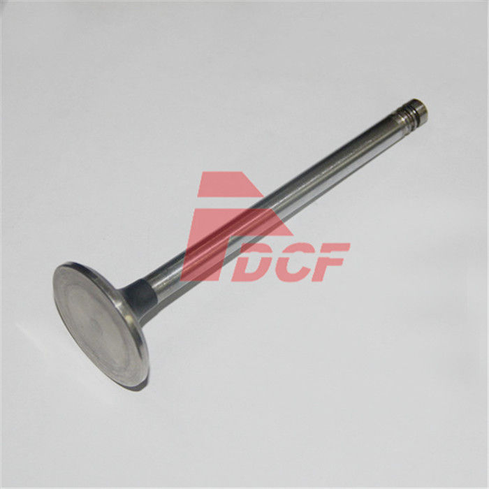 Le moteur diesel de valve de l'excavatrice 290 4635264 partie la taille 42*9*139*60
